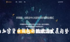 国内加密货币钱包的现状
